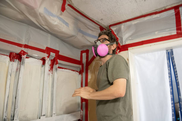Best Basement Mold Removal  in Wchester, IN