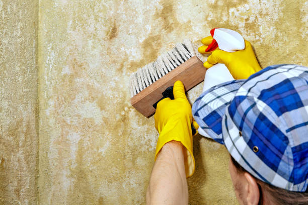 Asbestos and Lead Testing During Mold Inspection in Winchester, IN