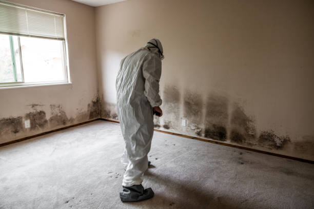 Best Biohazard Mold Removal  in Wchester, IN